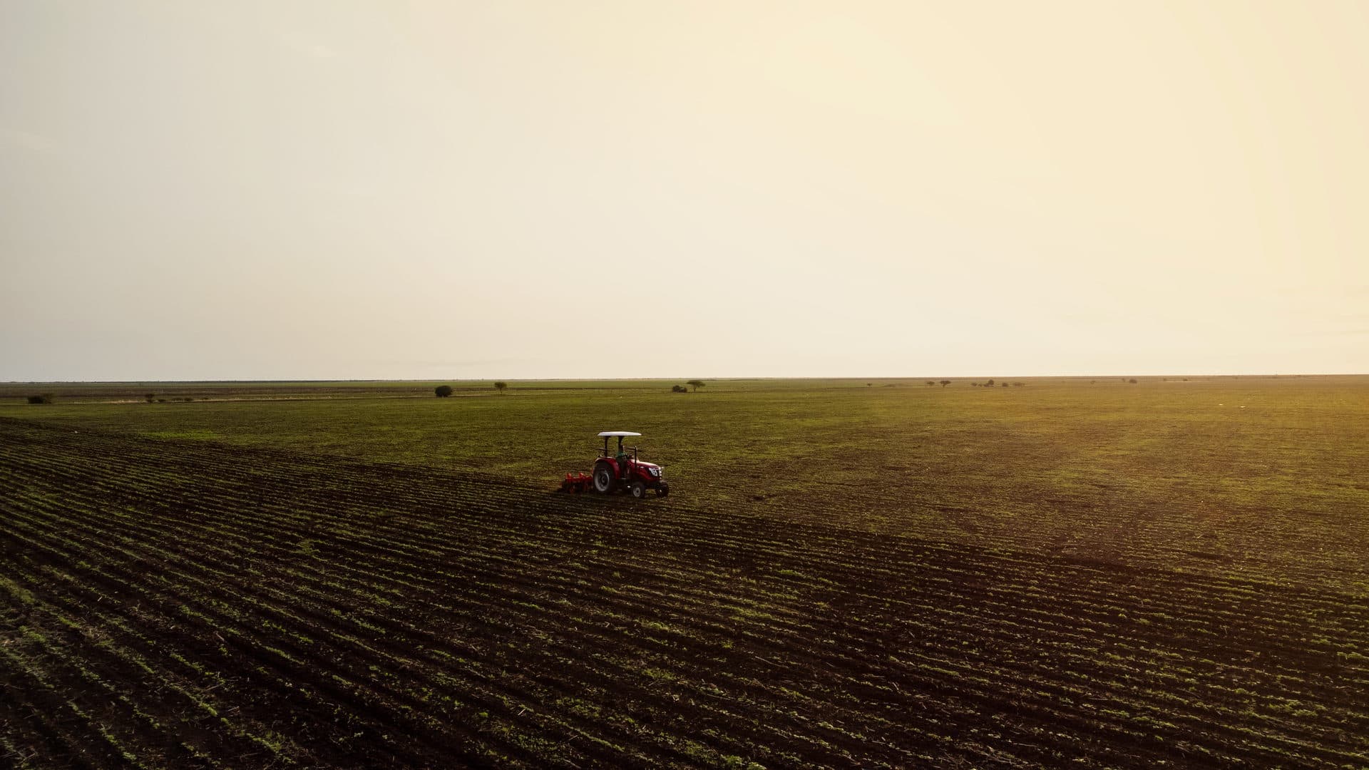 A field at dusk from the air