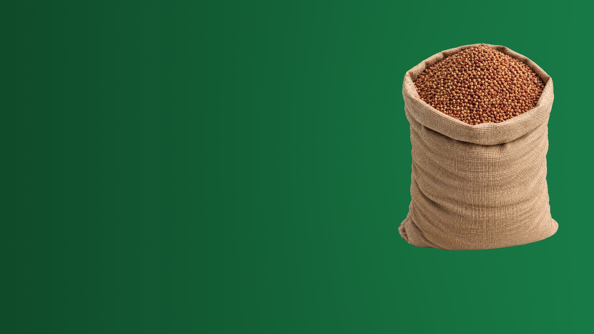 A sack of sorghum grain