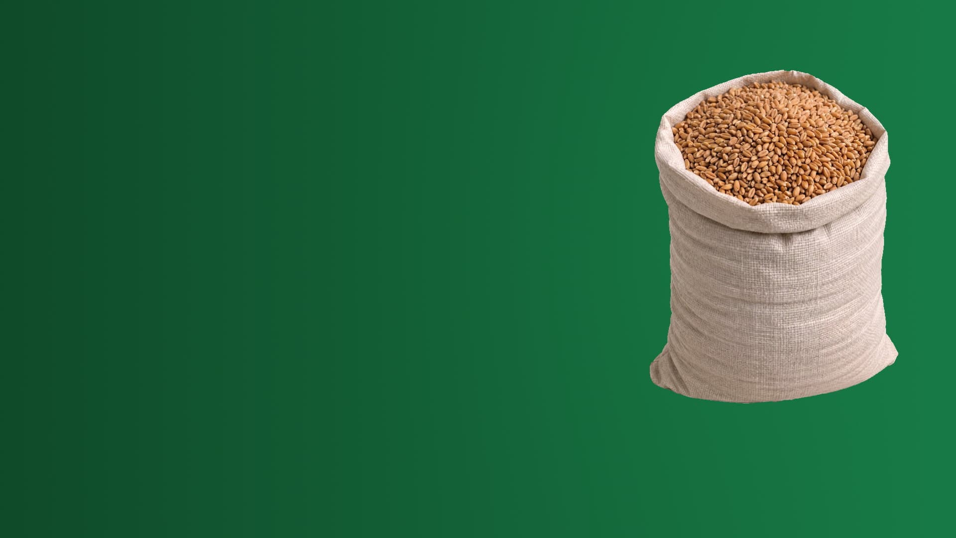 A sack of wheat grain